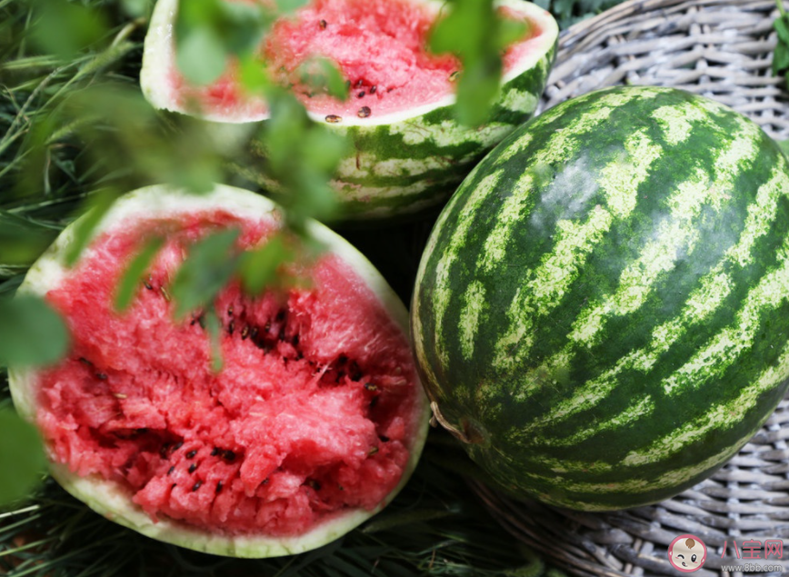 买一个或超百元西瓜涨价背后 为什么今年西瓜涨价了