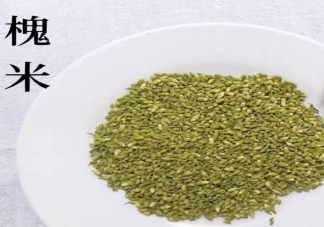 蚂蚁庄园槐米茶中的槐米其实是什么 6月3日答案介绍