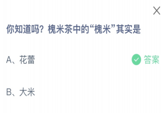 槐米茶中的槐米其实是什么 蚂蚁庄园6月3日答案