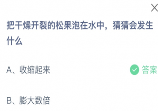 蚂蚁庄园6月3日答案：把干燥开裂的松果泡在水中猜猜会发生什么