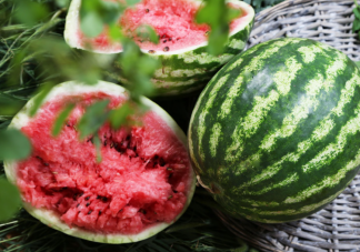 买一个或超百元西瓜涨价背后 为什么今年西瓜涨价了