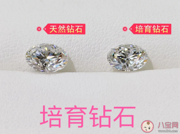 培育钻石是怎么形成的 如何正确挑选培育钻石