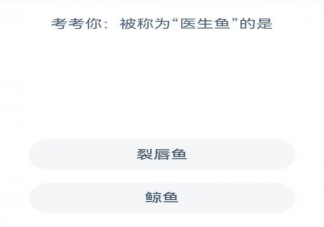 蚂蚁森林被称为医生鱼的是什么鱼 神奇海洋6月3日答案