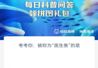 被称为医生鱼的是 神奇海洋6月3日答案