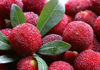 杨梅一天最多吃多少 杨梅应该如何清洗