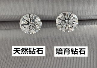 培育钻石是怎么形成的 如何正确挑选培育钻石