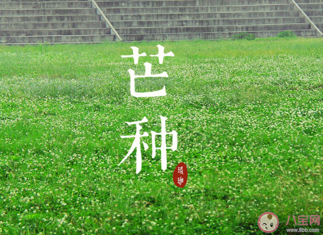 以下哪种植物属于有芒作物 蚂蚁庄园6月6日答案