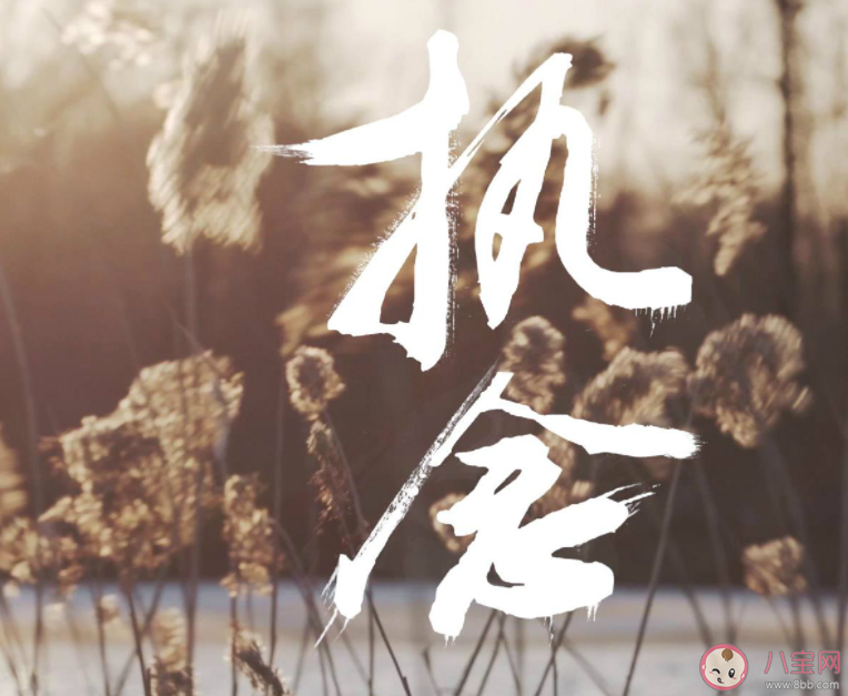 如何放下心中的执念 人的执念太深该怎么办