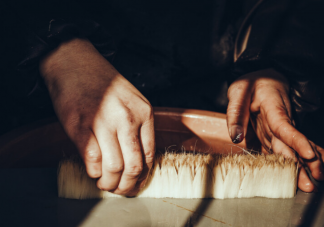 蚂蚁新村制作宣笔用的毛是什么 6月5日答案介绍