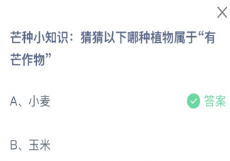 猜猜以下哪种植物属于有芒作物 蚂蚁新村6月6日答案最新