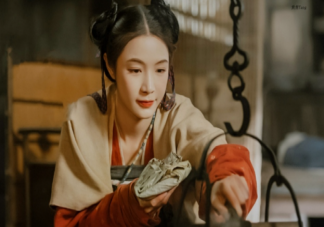 《微雨燕双飞》原著小说是什么 《微雨燕双飞》讲的是什么故事