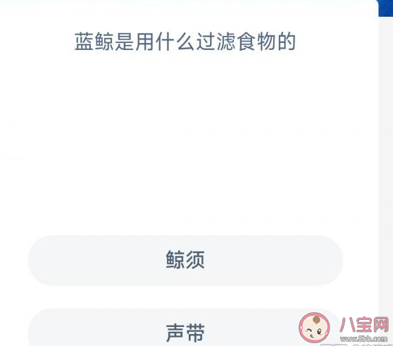 神奇海洋蓝鲸是用什么过滤食物的 6月8日正确答案