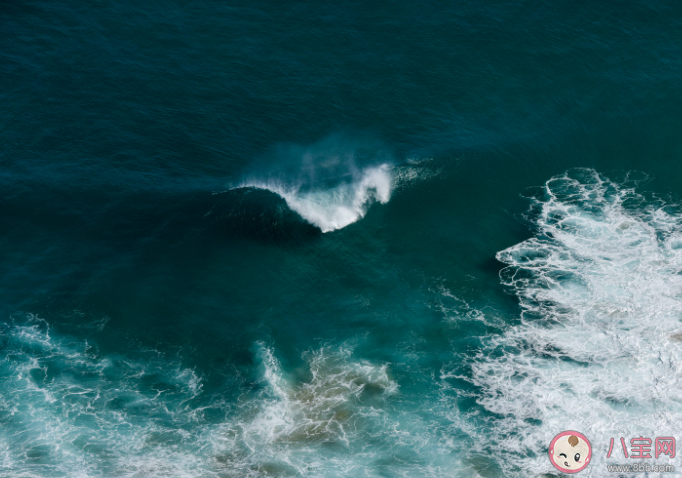 2023世界海洋日主题是什么 保护海洋的重要性