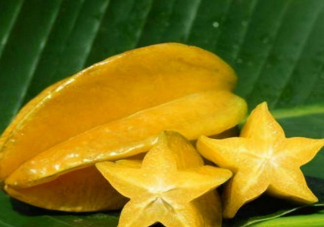 杨桃吃多了危害健康这种说法对吗 蚂蚁庄园6月9日答案