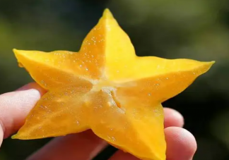 杨桃吃多了危害健康这种说法 蚂蚁庄园6月9日答案