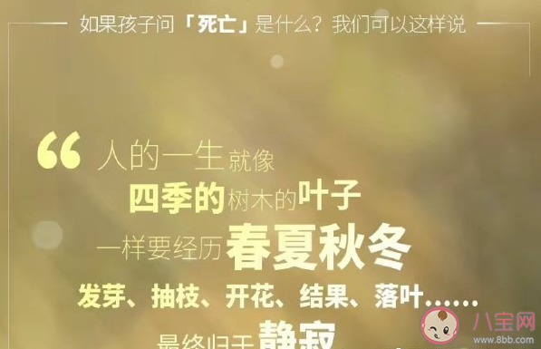 当孩子问起死亡该怎么回答 怎么回答让孩子更好理解