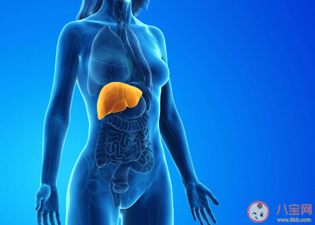 肝脏移植前后肤色对比 为什么肝脏好坏会显在皮肤上