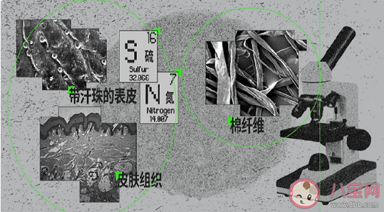 为什么肚脐是污泥制造机 肚脐眼为什么不能乱抠