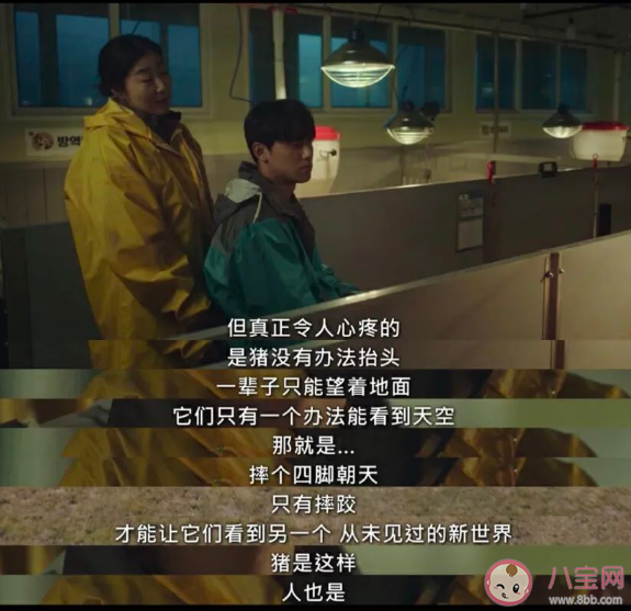 韩剧《坏妈妈》经典台词大全 《坏妈妈》令人印象深刻的戳心台词句子