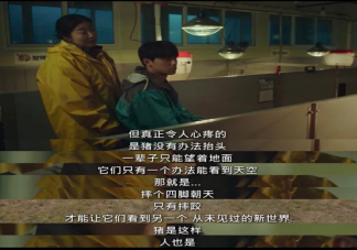 韩剧《坏妈妈》经典台词大全 《坏妈妈》令人印象深刻的戳心台词句子