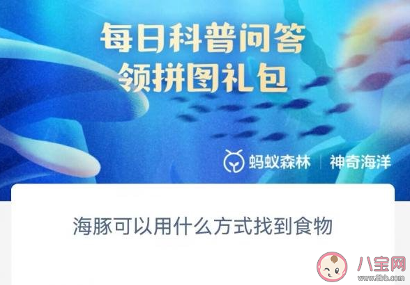海豚可以用什么方式找到食物 神奇海洋6月14日答案