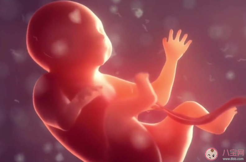 合成人类胚胎取得进展是怎么回事 合成人类胚胎有什么意义