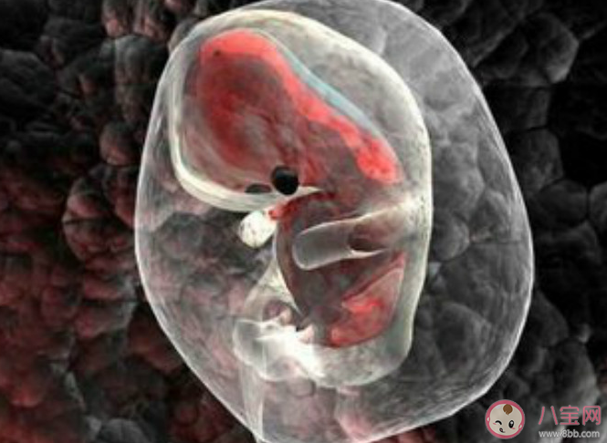 合成人类胚胎取得进展是怎么回事 合成人类胚胎有什么意义