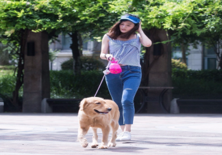 大学生兴起免费帮人遛狗潮是怎么回事 如何看待大学生免费遛狗