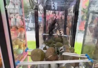 新加坡推出夹榴莲机是怎么回事 为什么榴莲这么受欢迎