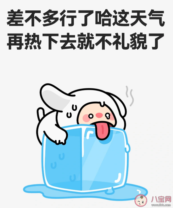 2023热化了表情包文案句子 适合夏天热到发疯的文案说说