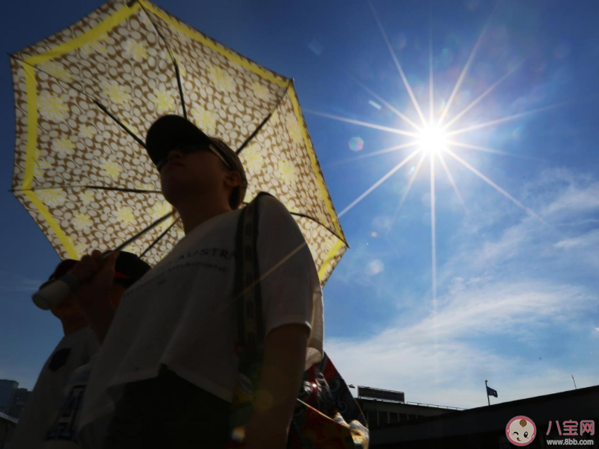 2023年或成为有记录以来最热一年 为什么2023年会很热 2023年或成为有记录以来最热一年 为什么2023年会很热