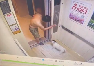 狗狗嫌天热自己坐电梯回家 狗狗有多聪明