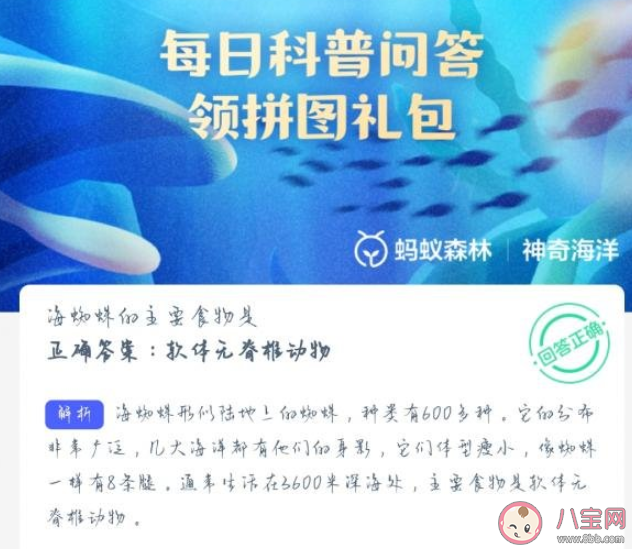 海蜘蛛的主要食物是什么 神奇海洋6月21日答案