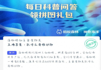 海蜘蛛的主要食物是什么 神奇海洋6月21日答案