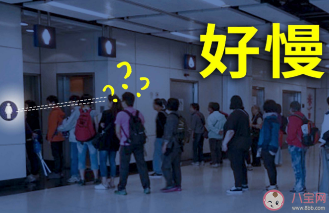 排队时人越多越想排队是你吗 游乐园和景区是如何让你心甘情愿地排长队的