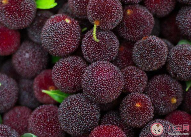 男子每天1斤杨梅狂吃20天要做血透 杨梅吃多了会怎样