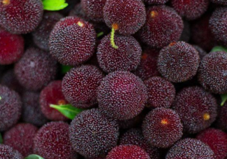 男子每天1斤杨梅狂吃20天要做血透 杨梅吃多了会怎样