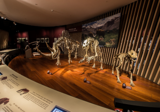 年轻人为何爱上博物馆 博物馆如何吸引年轻人