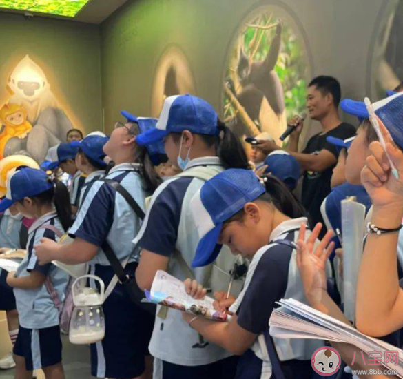 暑期研学游又火了人均约6000元 暑假要不要研学游 暑期研学游又火了人均约6000元 暑假要不要研学游