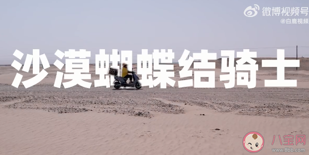 90后宝妈沙漠边缘送奶茶月入7000 如何看待如今宝妈的就业情况