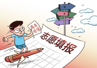 志愿填报规划师可信吗 高考志愿填报的4个误区