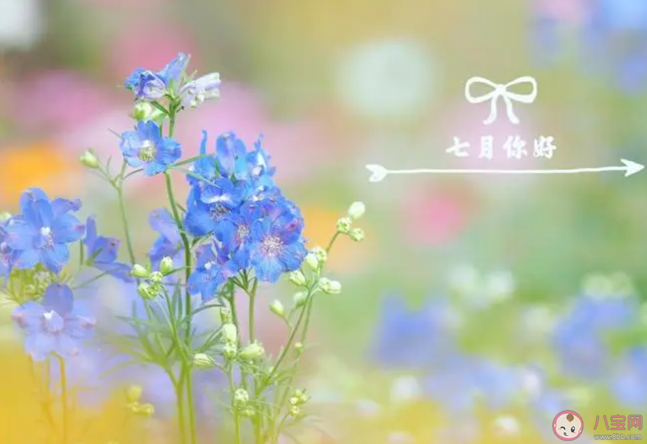 2023六月再见七月你好图片文案句子 六月再见七月你好朋友圈说说