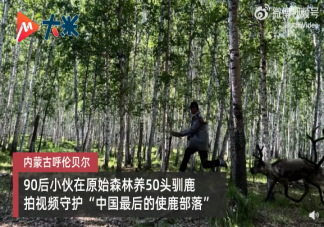 小伙在没信号的原始森林隐居4年是什么情况 最后一支使鹿部落是哪里