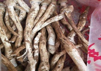 鸡枞菌十年涨价逾十倍 鸡枞菌为什么那么贵