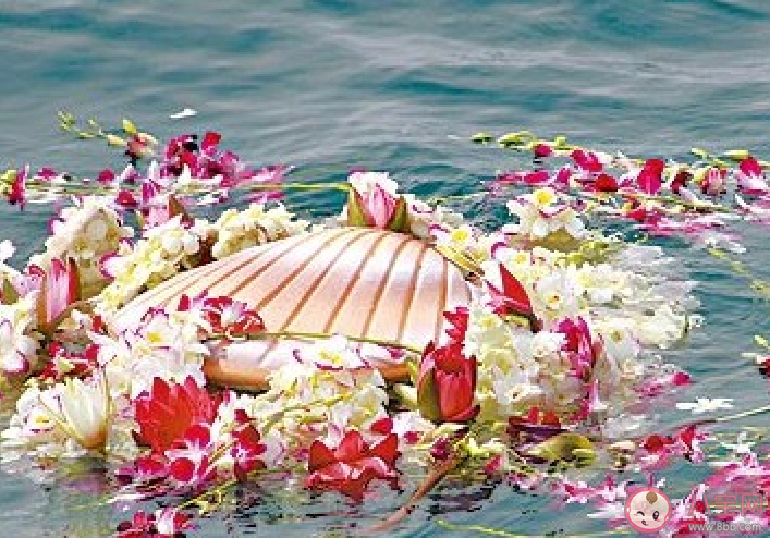 英国将推出水焚葬是怎么回事 为什么火葬不再流行了