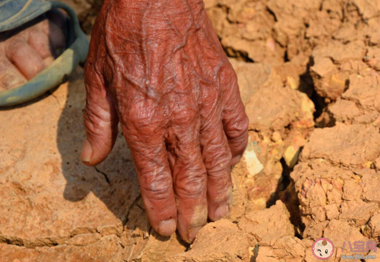 高温叠加少雨北方2地出现特旱 特旱天气会带来哪些影响 高温叠加少雨北方2地出现特旱 特旱天气会带来哪些影响