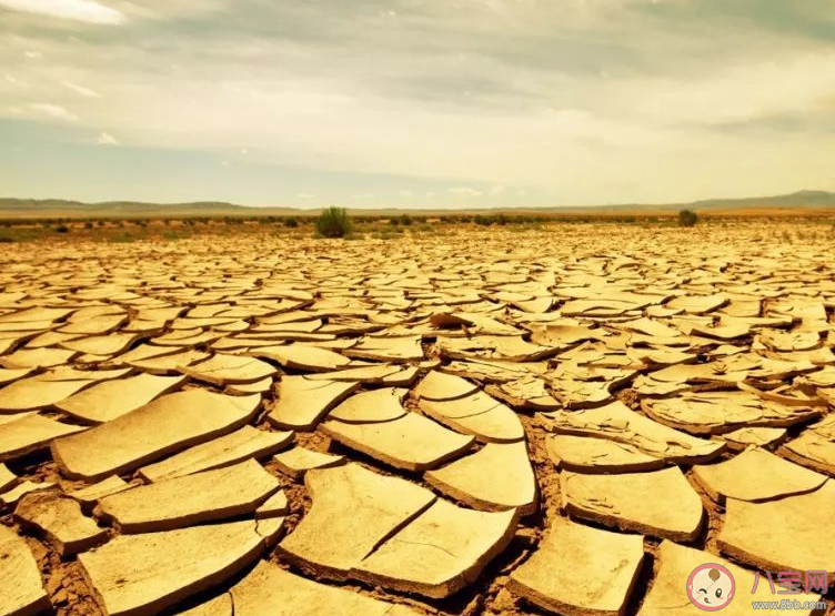 高温叠加少雨北方2地出现特旱 特旱天气会带来哪些影响 高温叠加少雨北方2地出现特旱 特旱天气会带来哪些影响