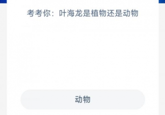 叶海龙是植物还是动物 神奇海洋7月7日答案
