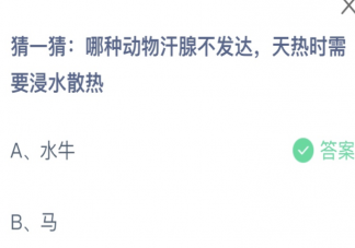 蚂蚁庄园哪种动物汗腺不发达天热时需要浸水散热 7月8日答案
