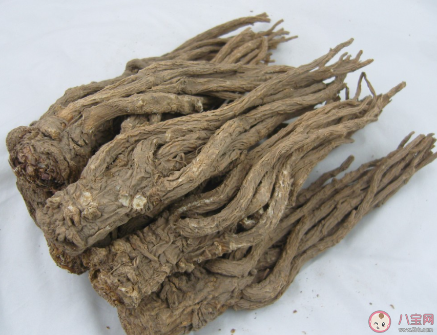 当归价格3个月暴涨113%是什么原因 当归有什么价值